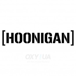 Наклейка на авто - Hoonigan v2